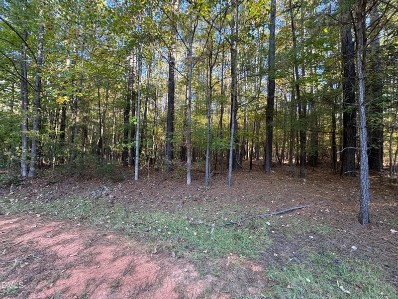 100 Shaman Dr, Louisburg, NC 27549