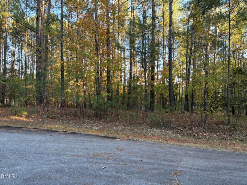 100 Shaman Dr, Louisburg, NC 27549