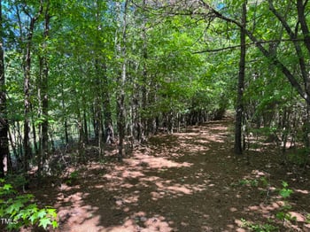 1000 Hopson Road Extension, Durham, NC 27713