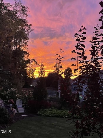 10009 Leesville Grove Dr, Raleigh, NC 27613