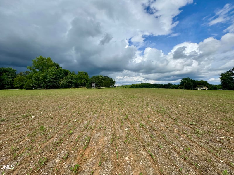 1001 Arthur Minnis Rd, Hillsborough, NC 27278