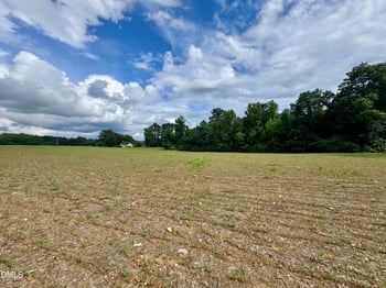 1001 Arthur Minnis Rd, Hillsborough, NC 27278