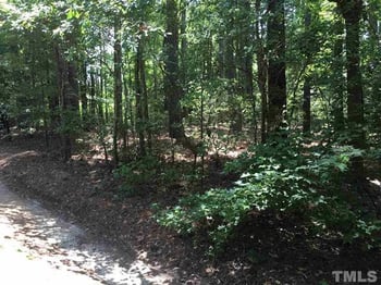 1001 Copeland St Lot 6, Apex, NC 27523