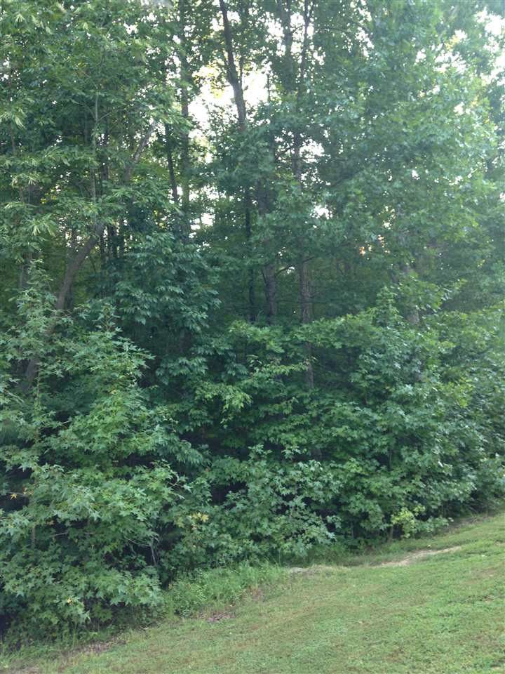 1001 High Trail Ct Lot 20, Wake Forest, NC 27587