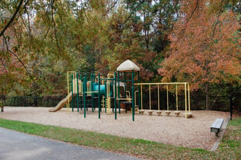 1001 Lantern Light Ct, Apex, NC 27502