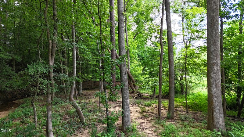 1002 Surry Dale Ct, Apex, NC 27502
