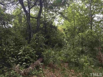 1003 Copeland St Lot 11, Apex, NC 27523