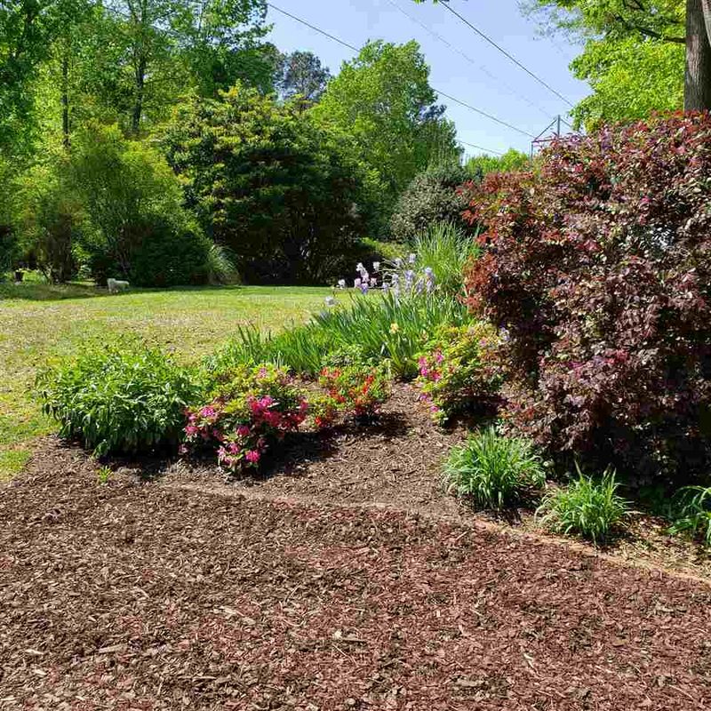 1003 E Sterlington Pl Lot 49, Apex, NC 27502