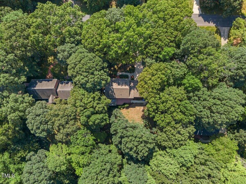 10036 Old Warden Rd, Raleigh, NC 27615