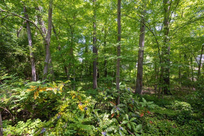 1004 Sycamore St Lot 1, Durham, NC 27707