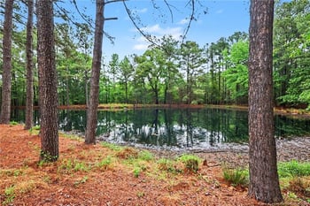 1004 Wentworth Ct, Sanford, NC 27330