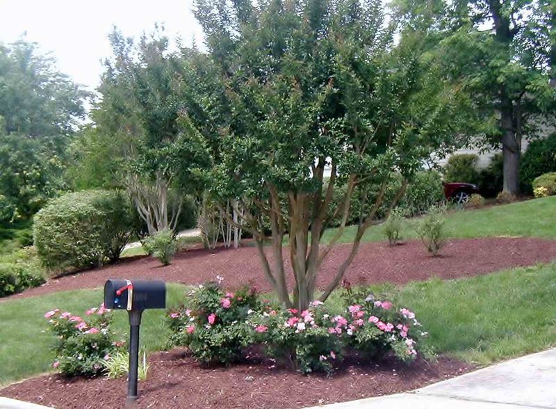 1004 Wicksteed Ct, Apex, NC 27502