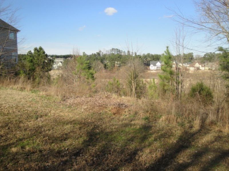1005 Broyhill Hall Ct Lot 142, Wake Forest, NC 27587