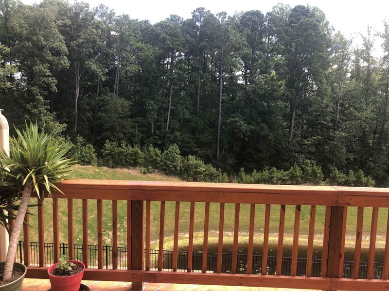 1007 Brownsmith Dr, Apex, NC 27502