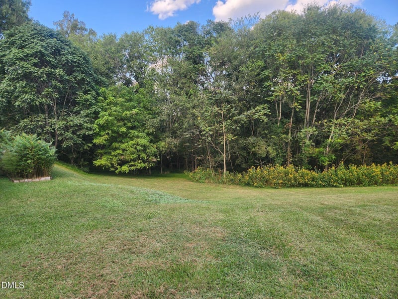 1008 1008 Panther Ct, Hillsborough, NC 27278