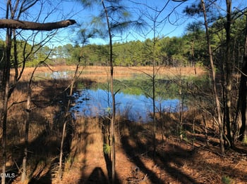 1008 Joe Collins Rd, Lillington, NC 27546