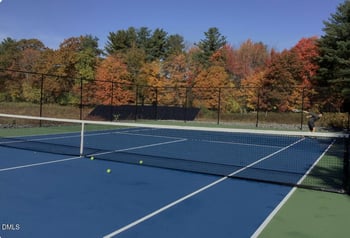 1009 Artis Town Ln, Morrisville, NC 27560