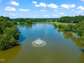 1009 Hidden Jewel Ln, Wake Forest, NC 27587
