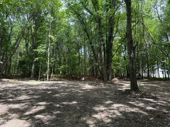 1009 Winding Creek Rd Lot 5, Apex, NC 27502