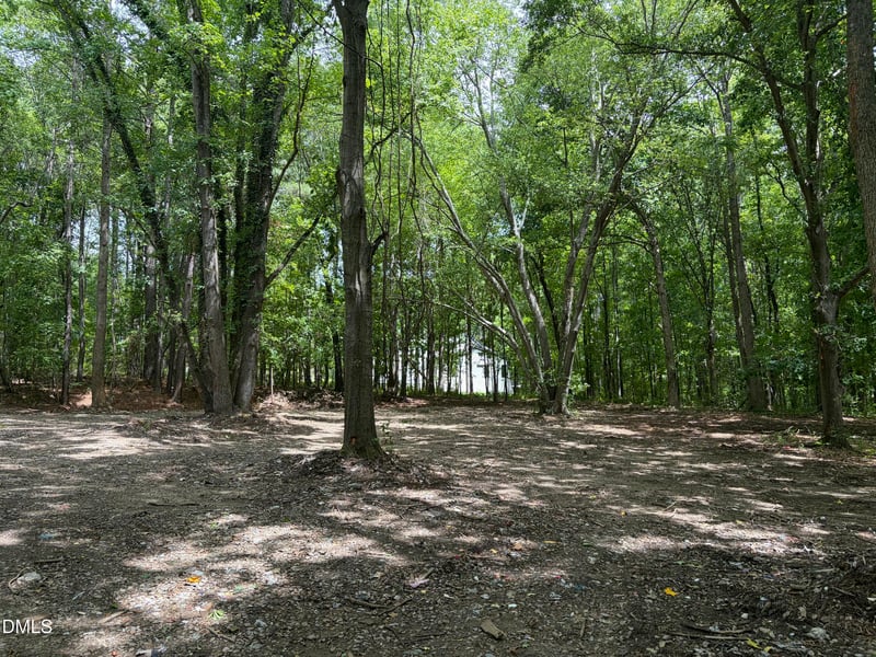 1009 Winding Creek Rd Lot 5, Apex, NC 27502
