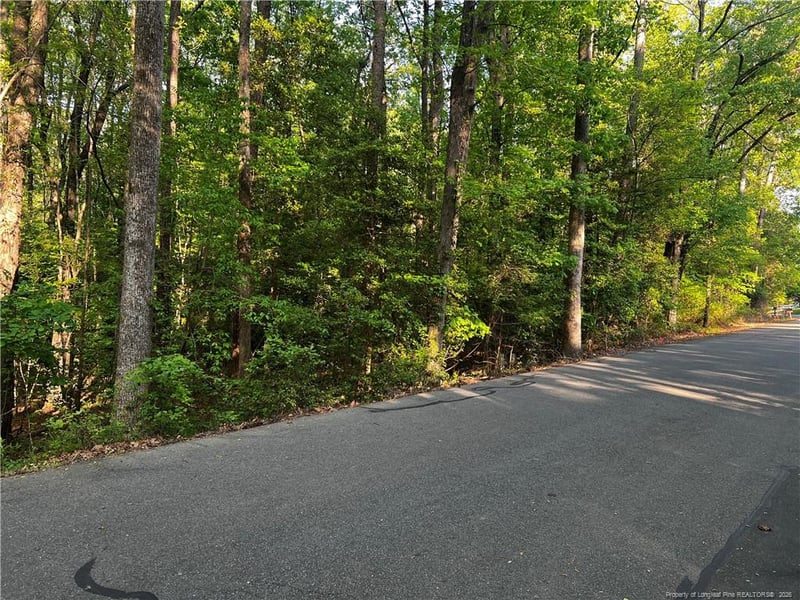 1009 Windrace Trl, Sanford, NC 27332