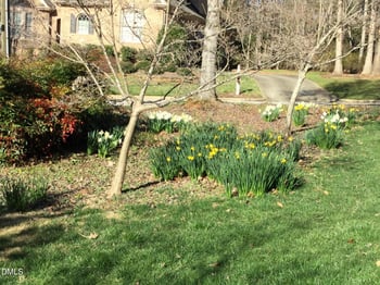 101 Magerton Ct, Cary, NC 27511