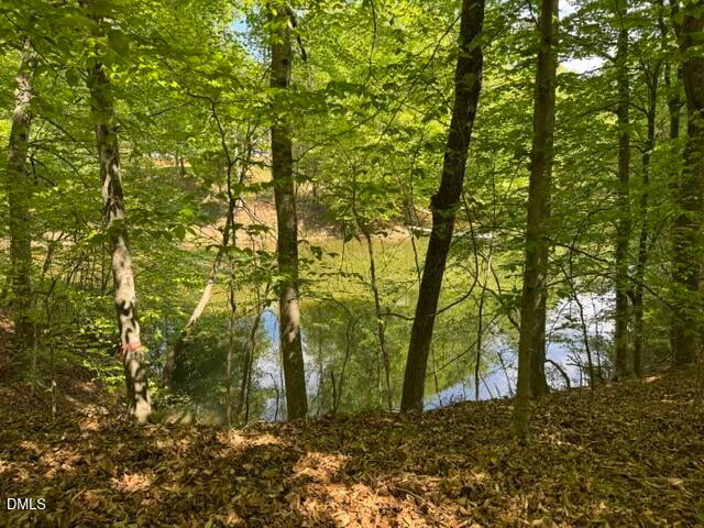 101 Stillwater Ln, Roxboro, NC 27574