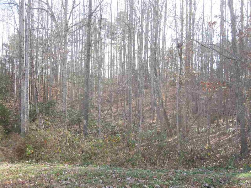 101 Watrus Dr Lot 9, Clayton, NC 27527