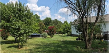 1011 Sweet Raspberry Ln, Lillington, NC 27546