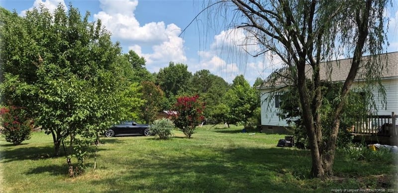 1011 Sweet Raspberry Ln, Lillington, NC 27546