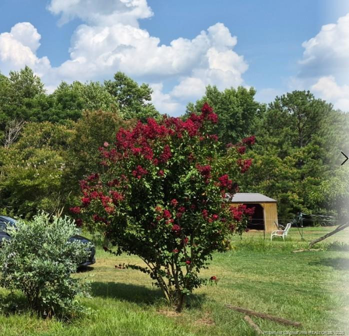 1011 Sweet Raspberry Ln, Lillington, NC 27546