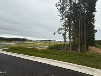 1012 Poinsettia Ln, Wendell, NC 27591