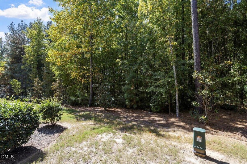 1016 Brightskies St, Morrisville, NC 27560