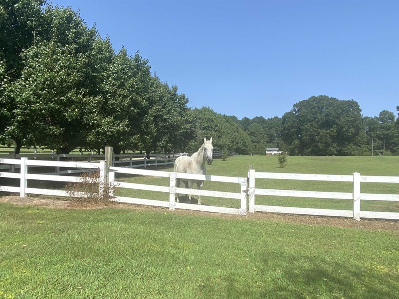 1016 Moss Rd, Zebulon, NC 27597