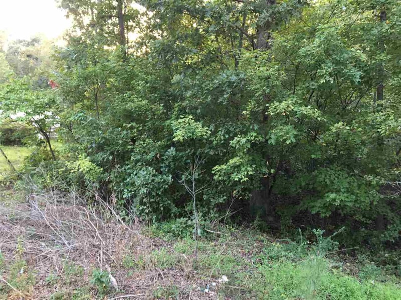 102 Carroll St Lot 21, Apex, NC 27539