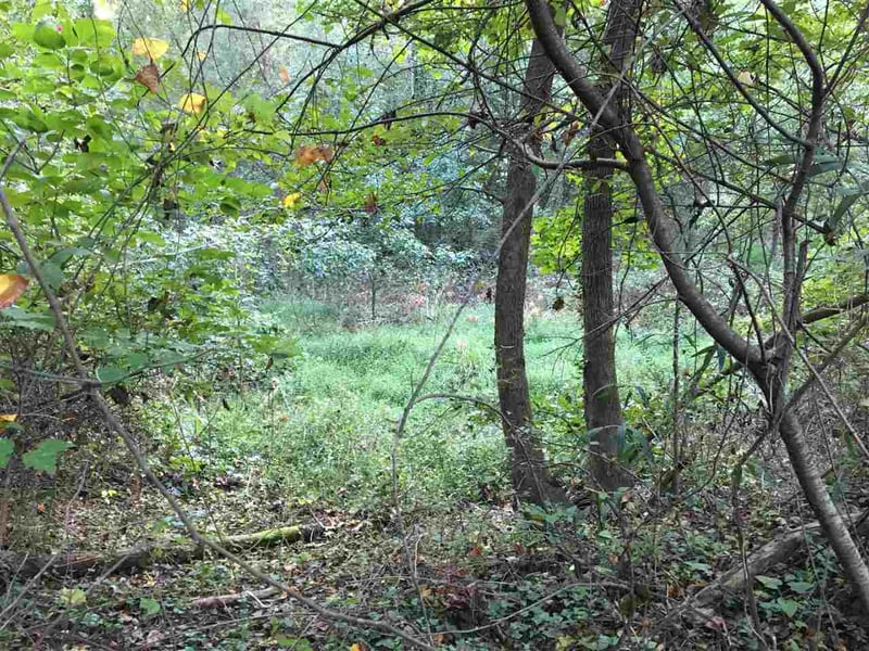 102 Carroll St Lot 21, Apex, NC 27539