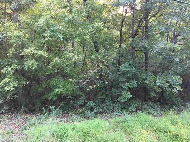 102 S Carroll St Lot 21, Apex, NC 27539