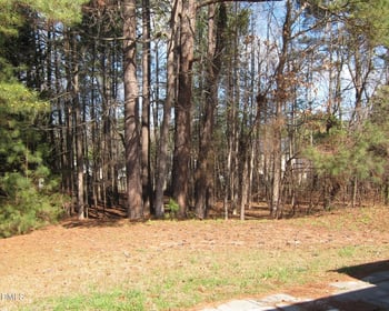 102 Checker Ct, Apex, NC 27502