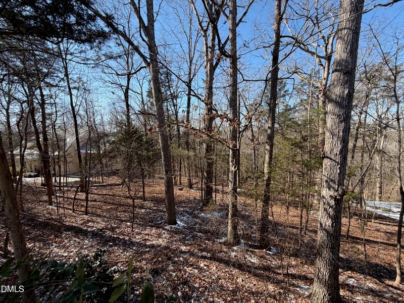 102 Jolyn Pl Lot 21, Chapel Hill, NC 27517