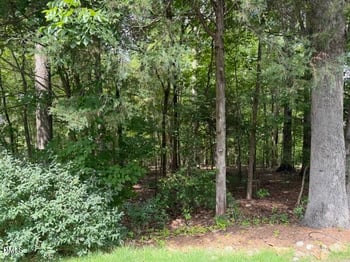 102 Jolyn Pl Lot 21, Chapel Hill, NC 27517