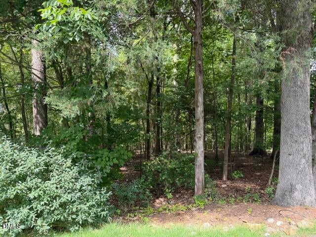102 Jolyn Pl Lot 21, Chapel Hill, NC 27517