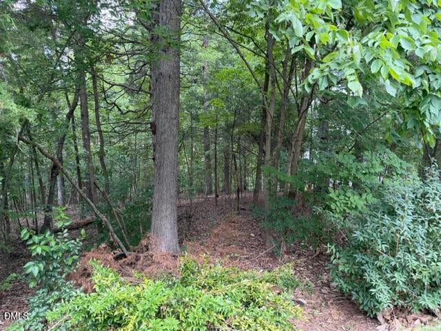 102 Jolyn Pl Lot 21, Chapel Hill, NC 27517
