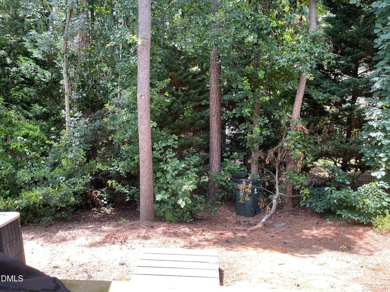 102 Licorice Dr, Apex, NC 27502