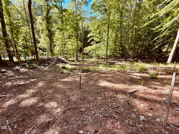 102 Sequoia Dr, Louisburg, NC 27549