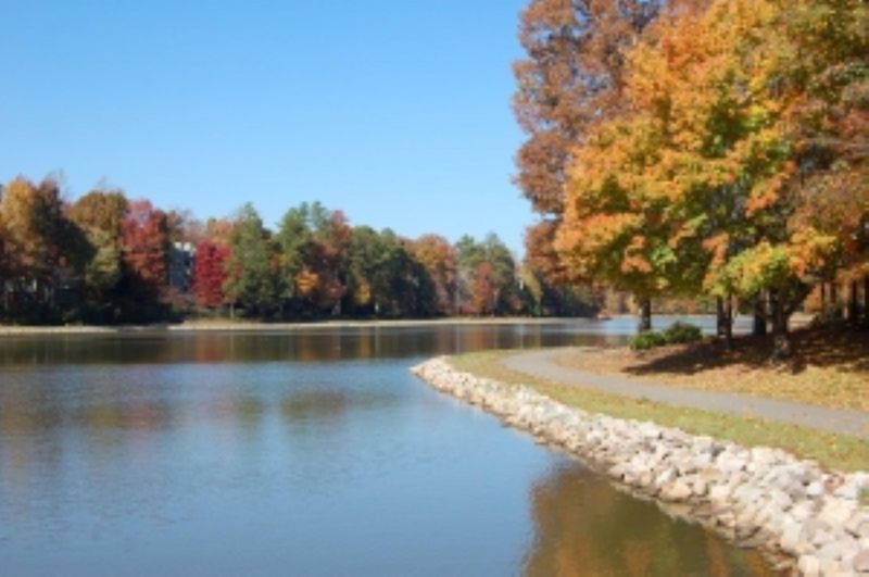 102 Water Leaf Ln, Cary, NC 27518
