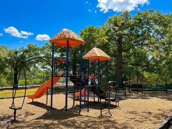 1020 Bungalow Park Dr, Apex, NC 27502