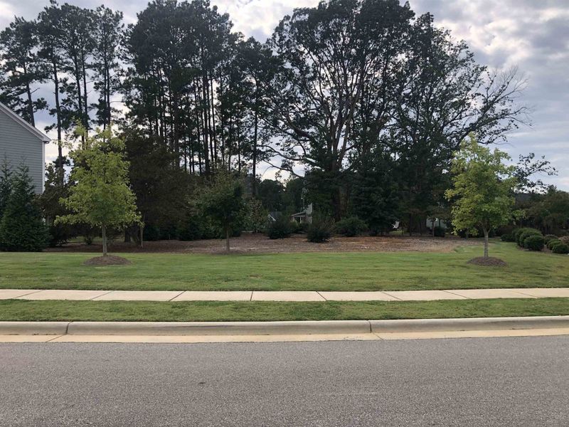 1020 Manchaca Loop #5 Marshall CR, Apex, NC 27539