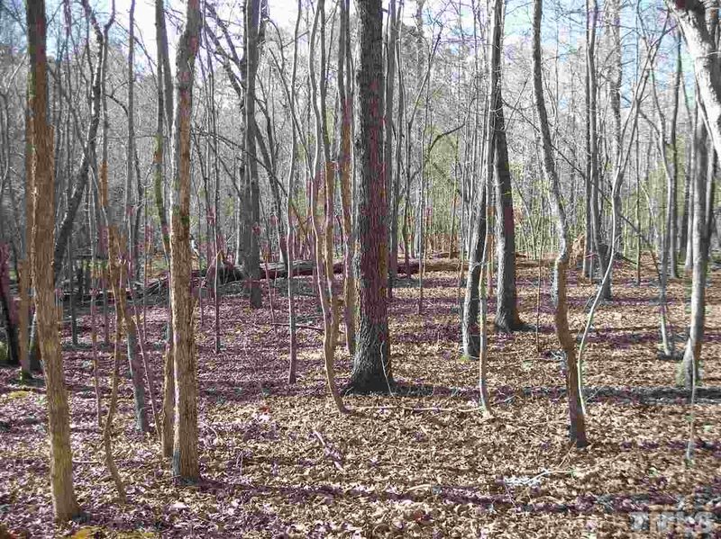 1021 Bush Dr Lot 2, Durham, NC 27712