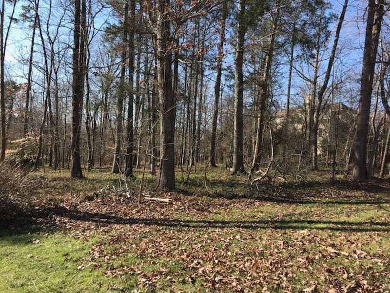 10223 Governors Dr Lot 13, Chapel Hill, NC 27517