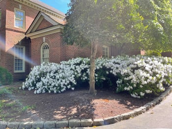 1023 Cowper Dr, Raleigh, NC 27608